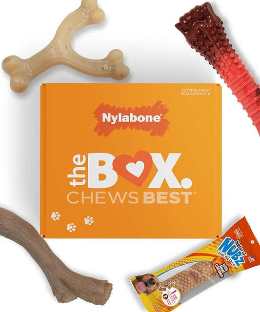 Nylabone Dog Toy Gift Box, includes 3 Strong Chew Toys and 1 Dog Treat, Chew Toys for Large Dogs, Large/Giant (4 Count)