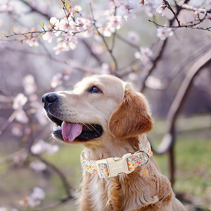 ARING PET Summer Dog Collar-Cute Dog Collar for Small Dogs, Adjustable Cotton Floral Pet Collars Puppy Collar for Small Medium Large Dogs