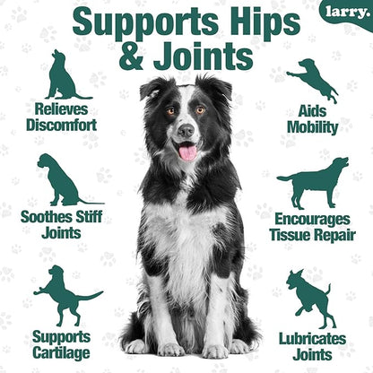 Dog Hip and Joint Supplement by Larry | Chondroitin, MSM, Hyaluronic Acid, & Glucosamine for Dogs | Dog Hip & Joint Care for All Breeds & Sizes | Dog Treats for Hip and Joint Health, (120 Soft Chews)