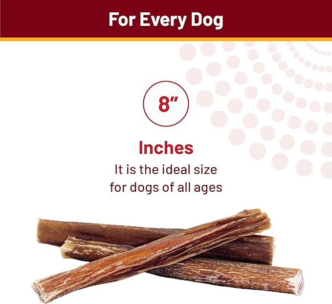 from The Farm Bully Stick 8 inch - Dog Bully Sticks - Odor Free Bully Sticks - Nature Gnaws Natural Dog Chews - Odor Free Bully Sticks for Dogs - Bully Sticks for Medium Dogs