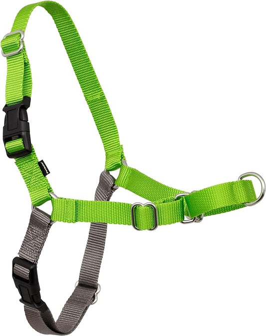 PetSafe Easy Walk Dog Harness - No Pull Dog Harness - Small, Apple Green
