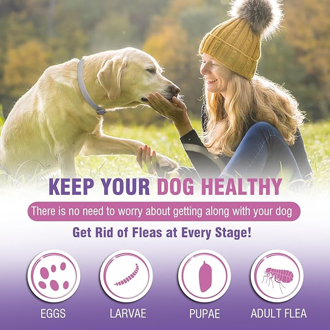 Flea Collar for Dogs 4 Pack Flea and Tick Collar for Dogs 8 Months Long-Term Protection Natural Tick Collar for Dogs Waterproof Adjustable Size Dog Flea Collar Suitable for Small Medium and Large Dog