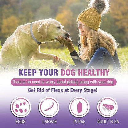 Flea Collar for Dogs 4 Pack Flea and Tick Collar for Dogs 8 Months Long-Term Protection Natural Tick Collar for Dogs Waterproof Adjustable Size Dog Flea Collar Suitable for Small Medium and Large Dog