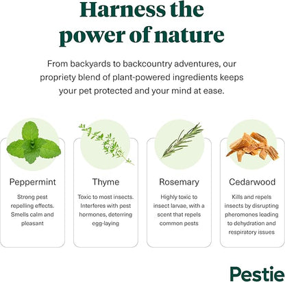 Pestie Flea & Tick Treatment for Pets, Plant-Powered Spray, Repels and Kills Fleas, Ticks and Mosquitos, Safe for Cats and Dogs, Easy Spray-On, Featuring Cedarwood, Peppermint, Thyme, and Rosemary