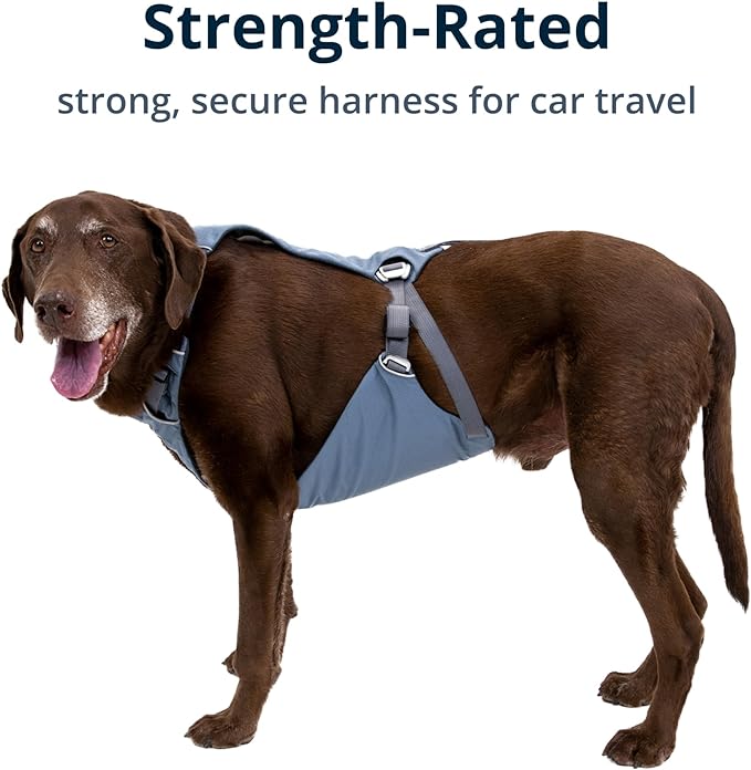 Ruffwear, Load Up Dog Harness, Strength-Rated Car Safety Harness with Universal Seat Belt Attachment, Slate Blue, X-Small
