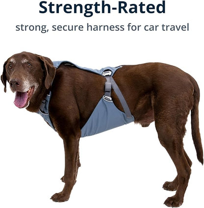 Ruffwear, Load Up Dog Harness, Strength-Rated Car Safety Harness with Universal Seat Belt Attachment, Slate Blue, X-Small