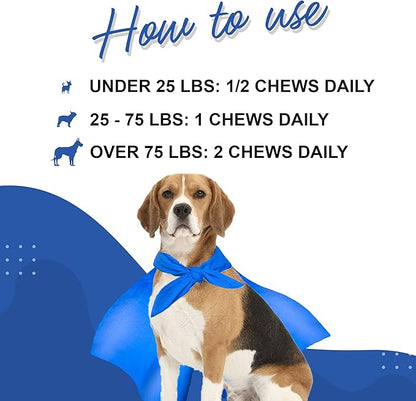 Premium Multivitamin for Dogs Daily Multi for Immune, Mood, Joint, Skin, Heart & Digestive Health - 21 in 1 Dog Multivitamins for Optimal Health Essential - 60 Multivitamin Dog Chews