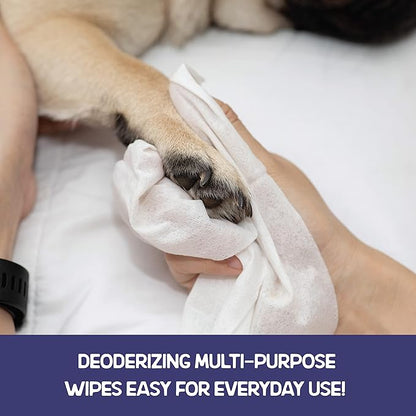 WETPET Wipes for Dogs, Lemon Scented, Grooming Wipes Remove Dirt & Grime, Deodorizing Easy to Use for Dogs & Puppies, Safe on Skin and Fur Single Pack