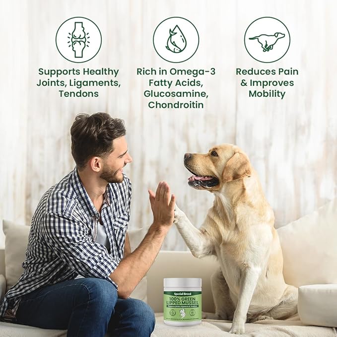 Green Lipped Mussels for Dogs & Cats - Premium Joint Supplement Powder for HIPS, Joints, and Muscles (300 Grams, Up to 1,000 Servings) - 2 Pack