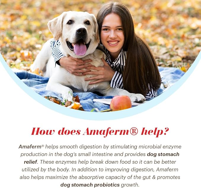 Alimend K9 - Dog Upset Stomach Relief for Nausea, Vomiting & Diarrhea - 6 Oz
