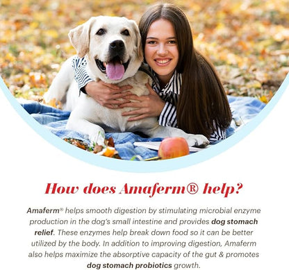 Alimend K9 - Dog Upset Stomach Relief for Nausea, Vomiting & Diarrhea - 6 Oz