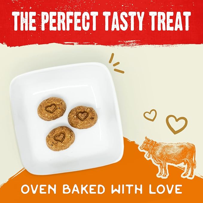 Stella & Chewy's Freeze-Dried Raw Coated Dog Biscuits – Grass-Fed Beef Recipe – Protein Rich, Grain Free Dog & Puppy Treat – Great Snack for Training & Rewarding – 9 oz Bag