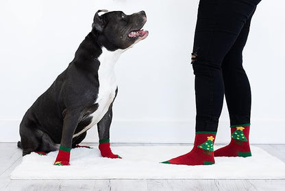 Pearhead Matching Human and Dog Apparel, Christmas Socks Set for Dog and Owner, Green and Red Christmas Tree Dog Socks and Adult Socks