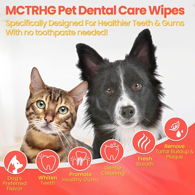 Dog Teeth Cleaning Wipes, Freshen Oral Odor & Remove Tartar Buildup, Disposabl Dog Dental Care Finger Wipes for Cleaning & Gum Care, Universal for Dogs & Cats, 50 Counts (Mint Flavor)