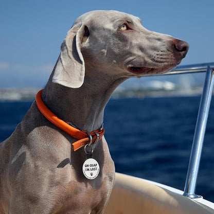 MYLUCKYTAG Silent Silicone QR Code Pet ID Tags Dog Tags - Pet Online Profile - Scan QR Receive Instant Pet Location Alert Email