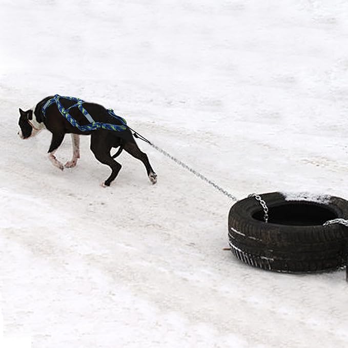 PET ARTIST Dog Weight Pulling Harness,Speed Training,Work Out Dog Sled Harness for Medium,Large Dogs,BLUE,2XL