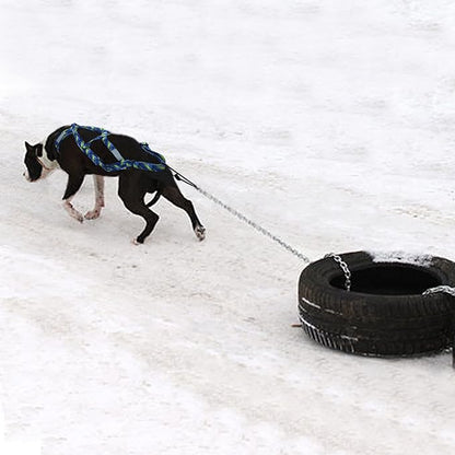 PET ARTIST Dog Weight Pulling Harness,Speed Training,Work Out Dog Sled Harness for Medium,Large Dogs,BLUE,2XL