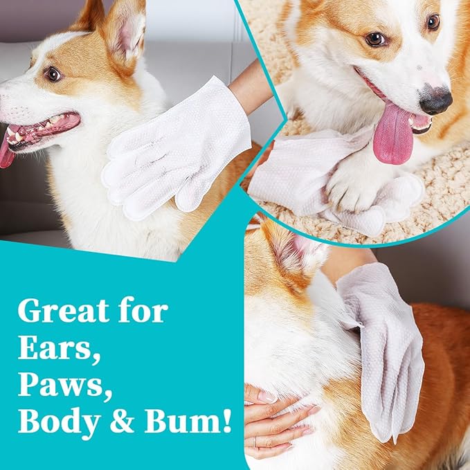 Pet Cleaning & Grooming Glove Wipes, 12 PCS Dog Deodorising Bath Wipes, Quick & Easy Cleaning Cat Wipes, for Grooming Between Baths & Daily Care(12 PCS)