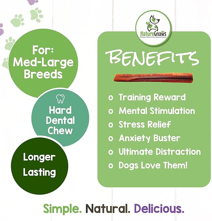Nature Gnaws Bully Sticks for Large Dogs - Premium Natural Beef Dental Bones - Thick Long Lasting Dog Chew Treats for Aggressive Chewers - Rawhide Free - 6 Inch (10 Count)