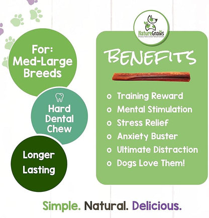 Nature Gnaws Bully Sticks for Large Dogs - Premium Natural Beef Dental Bones - Thick Long Lasting Dog Chew Treats for Aggressive Chewers - Rawhide Free - 6 Inch (10 Count)