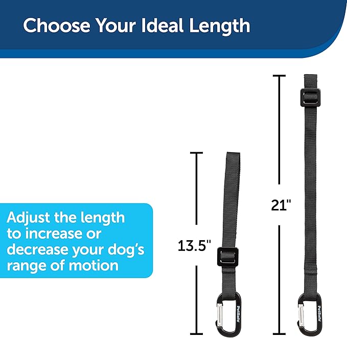 PetSafe Happy Ride Seat Belt Tether for Dogs, Adjustable Strap Keeps Pets Secure in Car