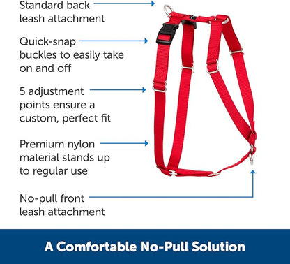 PetSafe Sure-Fit Harness – Five Point Adjustable Dog Harness – from The Makers of The Easy Walk Harness – Medium, Black