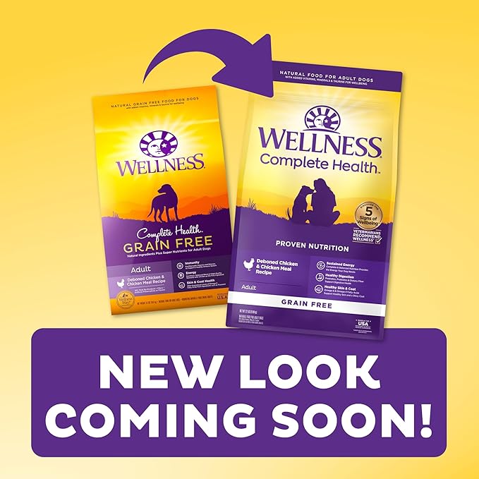 Wellness Complete Health Grain-Free Dry Dog Food, Natural Ingredients, Made in USA with Real Meat, For All Lifestages (Chicken, 4-Pound Bag)