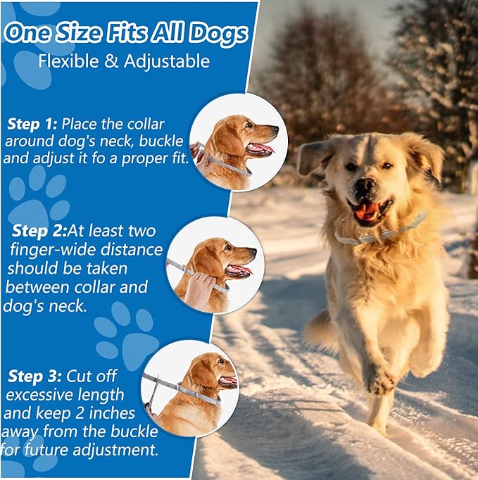 Flea Collar for Dogs - 2 Pack Dog Flea Collar - 12 Months Natural Flea and Tick Prevention for Small, Medium, Large Dogs - Adjustable & Safe - Free Flea Comb