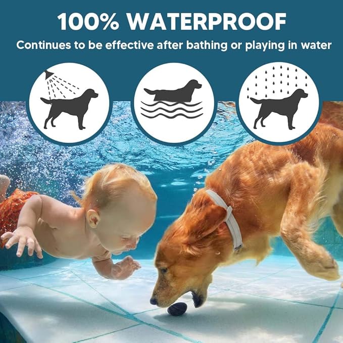 Dog Flea Tick Collar, Flea & Tick Prevention for Dogs, 8 Months Protection Dog Flea Collar, Adjustable Collar Fits Large Dogs & Puppies, Flea Treatment Collar for Dogs 2 Pack
