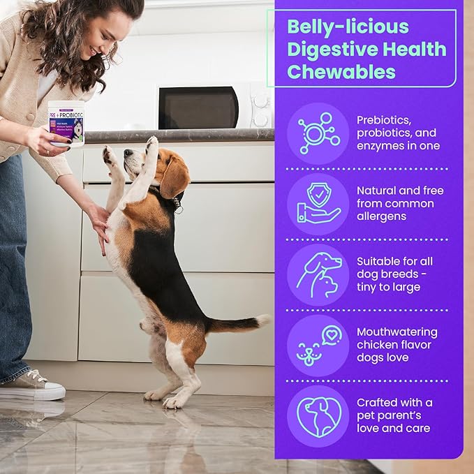 FREYDELL Pets Probiotics for Dogs Dog Upset Stomach Relief Dog probiotic, Fiber Supplement for Dogs, Yeast Infection Treatment for Dogs & Dog Diarrhea Medication, Probiotic for Dogs of All Ages.