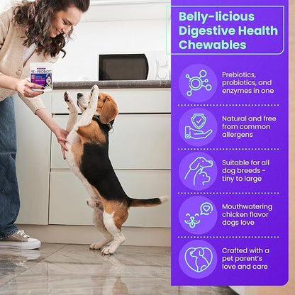 FREYDELL Pets Probiotics for Dogs Dog Upset Stomach Relief Dog probiotic, Fiber Supplement for Dogs, Yeast Infection Treatment for Dogs & Dog Diarrhea Medication, Probiotic for Dogs of All Ages.