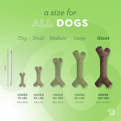 Benebone Maplestick Durable Dog Chew Toy for Aggressive Chewers, Real Maplewood, Made in USA, Giant