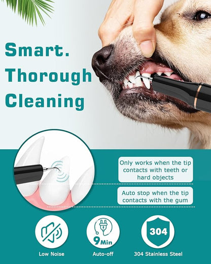 Pet Plaque Remover for Teeth with LED Light - 12 Pack Dog Tooth Brushing Kit, USB Charge Dog Teeth Cleaning Tools 5 Cleaning Mode with Dental Tools Scaler Scraper, Finger Toothbrush
