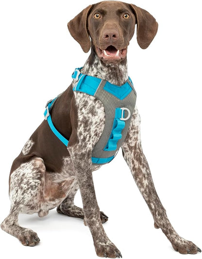 Kurgo Journey Air Dog Harness, Vest Harnesses for Dogs, Pet Hiking Harness for Running & Walking, Reflective, Padded, includes Control Handle, No Pull Front Clip (Blue, Medium)