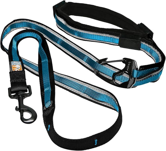 Kurgo Quantum 6-in-1 Dog Leash, Multi-Use Dog Lead for Walking & Running, Adjustable, Hands-Free Option, Coastal Blue