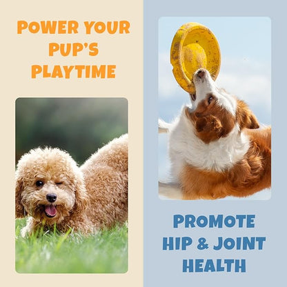 Dog Allergy Relief Chews - Quercetin + Omega 3 - Natural Antihistamine for Itching, Paw Licking, Seasonal and Grass Allergies - for Itchy Skin, Hot Spots, Immune Support