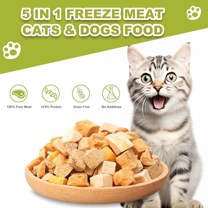 Freeze Dried Chicken Duck Salmon Cube - Cat Dog Dices Food Treats 5 in 1 Raw Egg Yolk High Protein Snacks Easy Digestion Pet Food No Fillers Preservatives or Additives for Training（5 OZ）