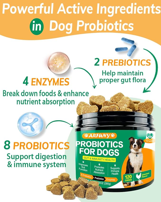 Probiotics Chews for Dogs with Prebiotic & Digestive Enzymes,Support Gut Health, Digestion, Immunity, Relief Seasonal Allergies, Diarrhea, Constipation (Chicken Flavor / 120 Chews)