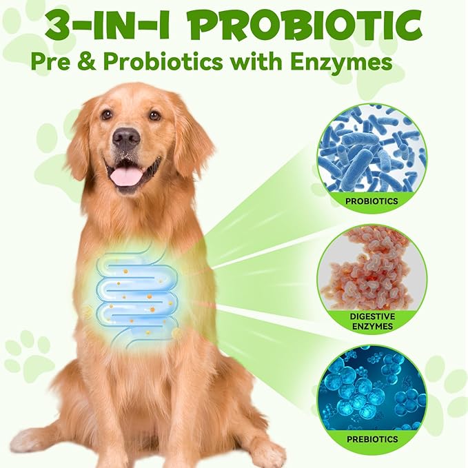 Probiotics for Dogs 60ML for Digestive Health,Natural 3 in 1 Dog Probiotic Drops Supports Gut Immunity Health,Itchy Skin, Allergies, Immunity, Digestive Enzyme for Dog Supplement