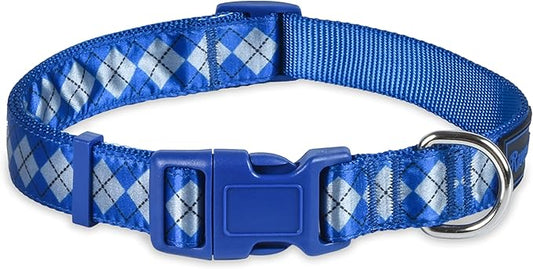 Harry Potter Ravenclaw Dog Collar in Size Large | Large Dog Collar, Harry Potter Dog Collar | Harry Potter Dog Apparel & Accessories for Hogwarts Houses, Ravenclaw
