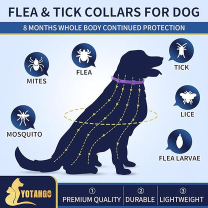 4 Pack Flea Collar for Dogs, 8 Months Flea and Tick Collar for Dogs Puppies, Flea and Tick Prevention for Dogs, Adjustable Waterproof Dog Flea Collar, Dog Flea and Tick Treatment-Gray Purple