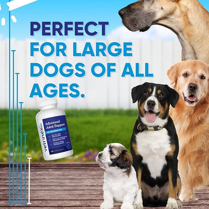 Joint Support Supplement for Large Dogs - Hip and Joint Chewable Tablets for Large Breed Dogs with Glucosamine, Chondroitin, and MSM, Beef Flavor, 120 Tablets