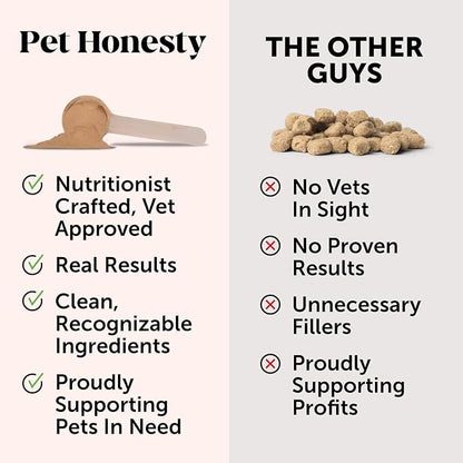 Pet Honesty Pumpkin Fiber Powder Supplement for Dogs - All Natural Anti Diarrhea Dog Probiotic with Psyllium Husk, Pumpkin Seeds and Apple Pectin for Firmer Stool & Healthy Digestion (90 scoops)