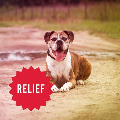 Hemp Well Hemp Relief Dog Soft Chews – Supports Joint Health in Dogs and Relieves Pain and Inflammation from Everyday Activities, Organically Sourced (2 Pack)