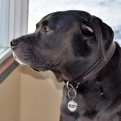 MYLUCKYTAG QR Code Pet ID Tags Dog Tags - Pet Online Profile - Scan QR Receive Instant Pet Location Alert Email