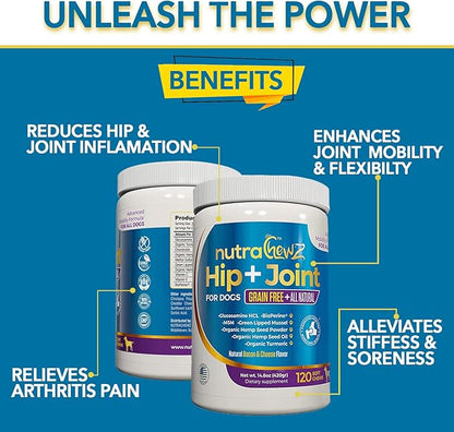 Grain Free Hip & Joint Supplement for Dogs with Organic Hemp Oil, Glucosamine Chondroitin, Turmeric, MSM, Green Lipped Mussel for Arthritis, Pain Relief, Mobility All Natural - 120 Chews