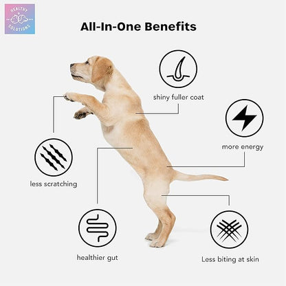 All-in-One Dog Vitamins & Supplements - Dog Multivitamin Supplement for Joint Support, Digestion, Skin, & Coat - Plus Omega-3, 6, 9 - Ultimate Daily Vitamin for Dogs - Made in USA, 60 Soft Chews