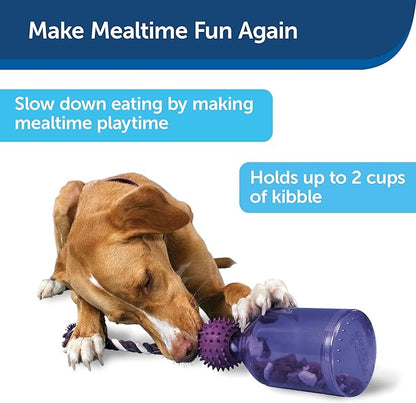 PetSafe Busy Buddy Tug-A-Jug Dog Toy – Slow Feeder and Trainer – Small