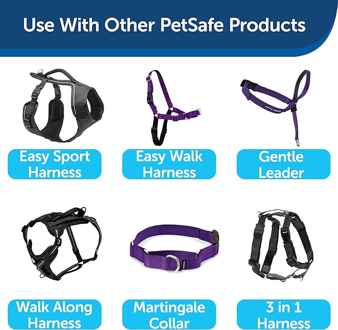 PetSafe Nylon Dog Leash - Strong, Durable, Traditional Style Leash with Easy to Use Bolt Snap - 1 in. x 6 ft., Deep Purple
