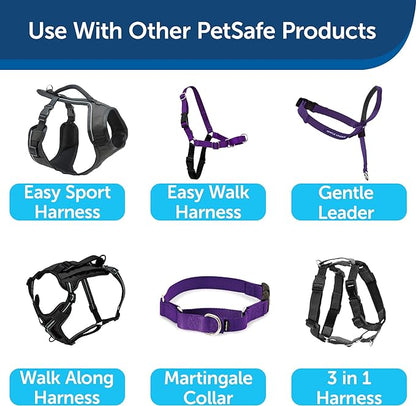 PetSafe Nylon Dog Leash - Strong, Durable, Traditional Style Leash with Easy to Use Bolt Snap - 1 in. x 6 ft., Deep Purple